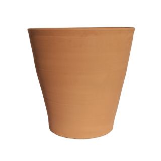 Vaso Palmera