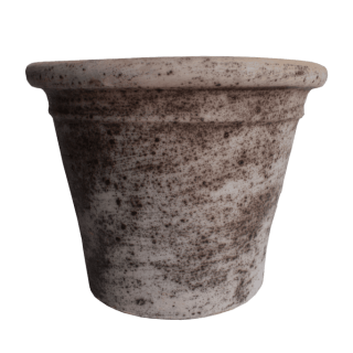 Maceta Palmera Envejecida